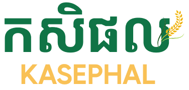 logo-kasephal
