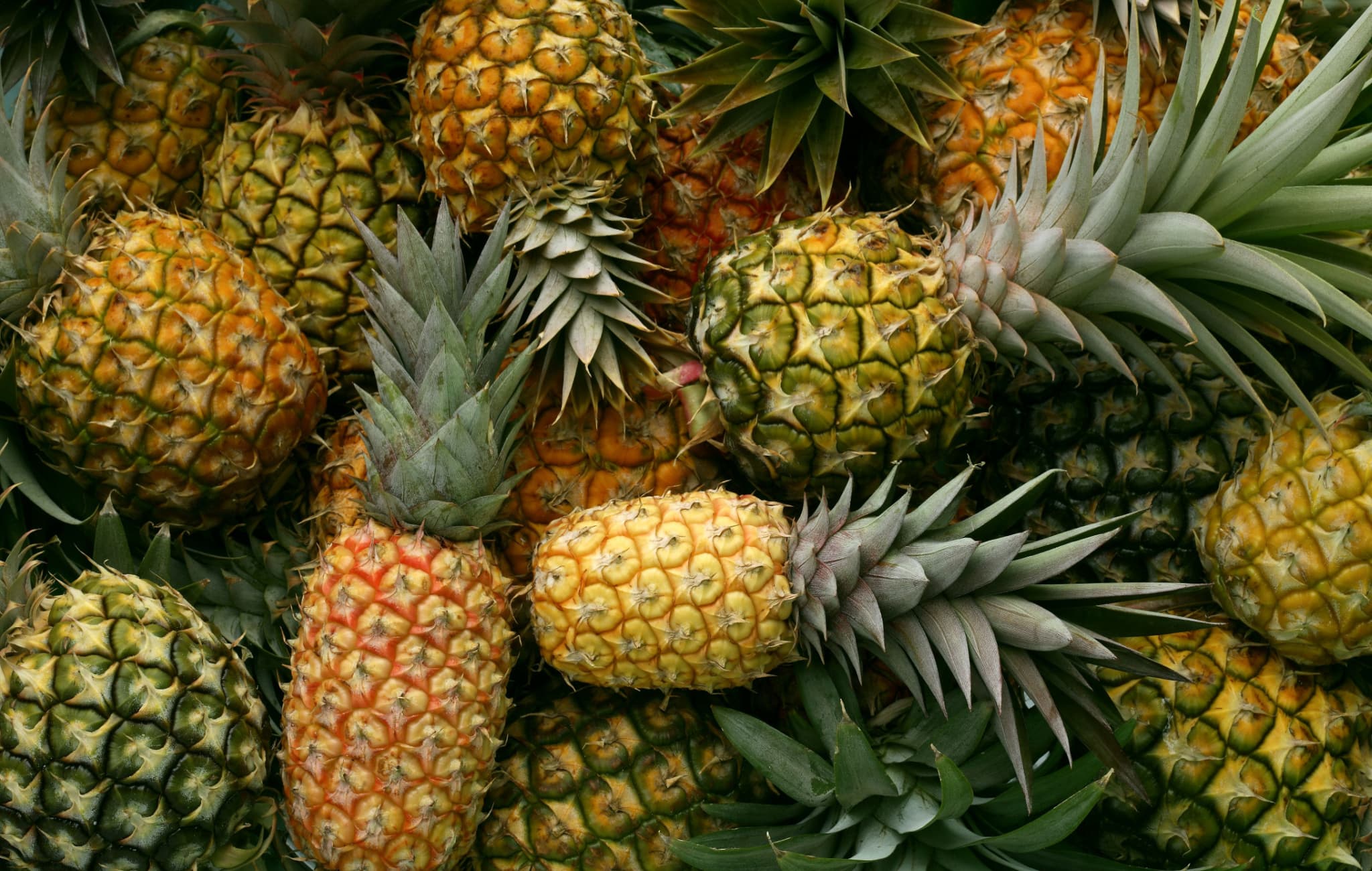 Pineapple
