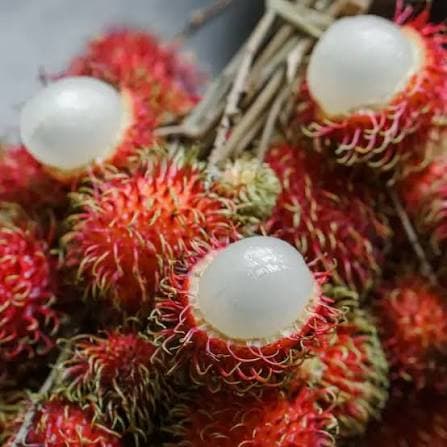 Rambutan