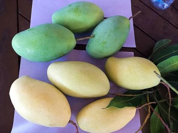 fresh mango