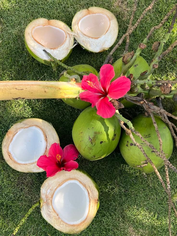 ដូងក្រអូប ផ្អែមឆ្ងាញ់