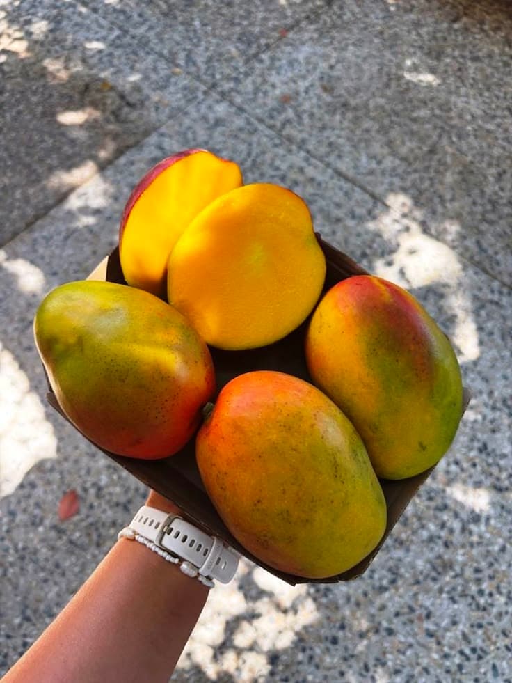 Good Fresh Keo Chen Mango
